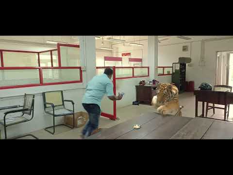 Tiger Attack VFX