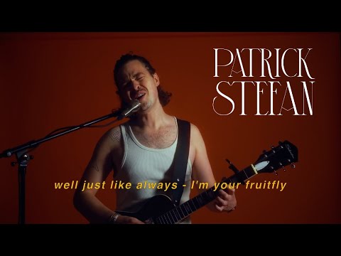 Fruitfly (live lyric video) - Patrick stefan