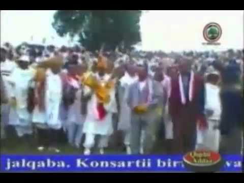 Ayyaanee Gadaa Kenya