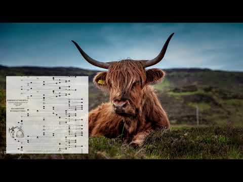 Jigs, Reels and Hornpipes