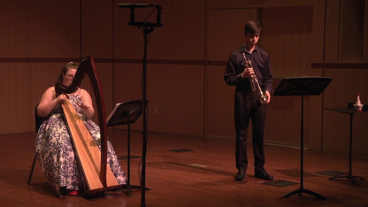 Promotional video thumbnail 3 for Strummed Strings Harp