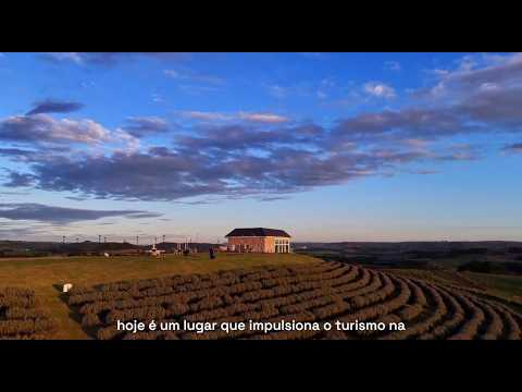 Caminhos de Lavanda transforma propriedade rural em destino turístico no interior gaúcho