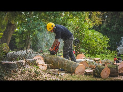 Haters Will Say It's Reversed - Arborist Backflip