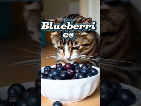 3 Fruits Your Cat Can Safely Eat! 🐱 #CatTips #Shorts