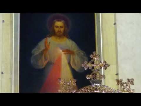 Homilija #461 Adoracija ir atleidimas