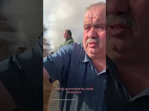 Palestinian olive trees torched as settler pogroms escalate during harvest | AJ #shorts