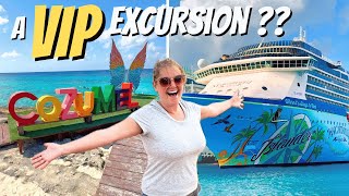 We Tried a VIP EXPERIENCE in Cozumel!!