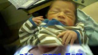 LIAM ALLISTER PICTURES