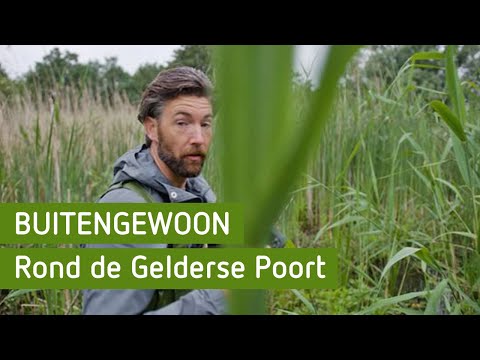 BuitenGewoon - Rond de Gelderse Poort