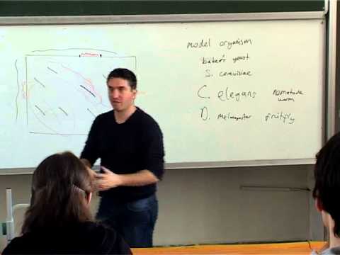 Introduction to Bioinformatics - Week 4 - Lecture 2