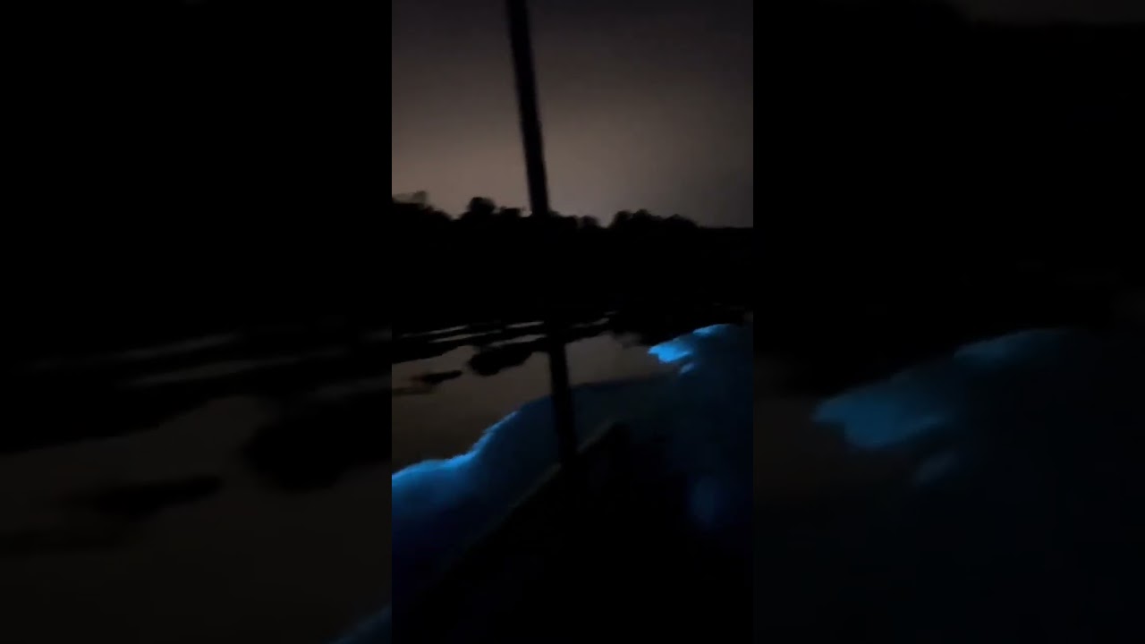 YouTube Short thumbnail