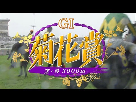 菊花賞 21,000円馬券勝負