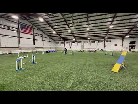 Threadle wrap to in-in with my young dog