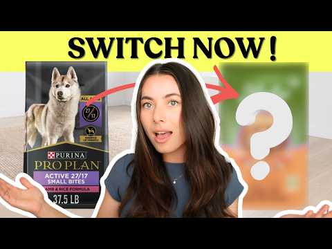 Everything You Need to Know Before Buying Dog Food