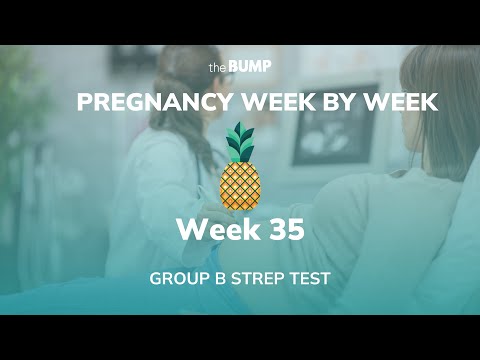 This week in Babyland (Week 35)