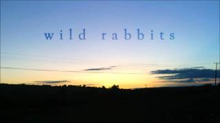 Wild Rabbits - The Sea And The Rhythm (Iron &amp; Wine Cover)