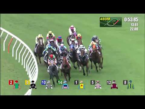 5/6/2022 (722) Royal Agility - K Teetan