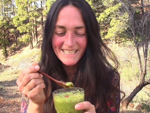 Zuckersucht verstehen + überwinden - Raus aus der Zuckerfalle: So schaffst Du es! * Zuckerfrei! *