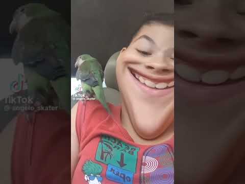 JAJAJJA #santiagodelestero#labanda#argentina#ynosexd