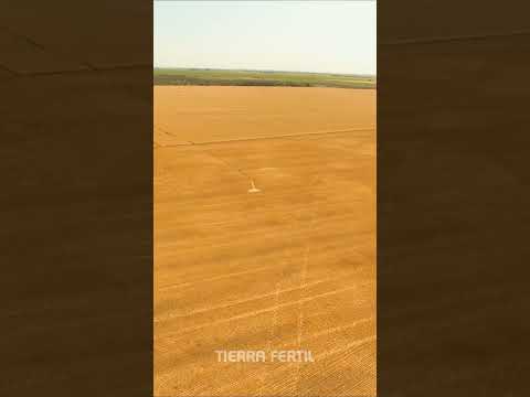 165 Hectáreas | En venta | Saturnino María Laspiur, Córdoba