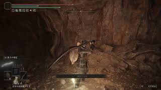 ELDEN RING:DLC#14