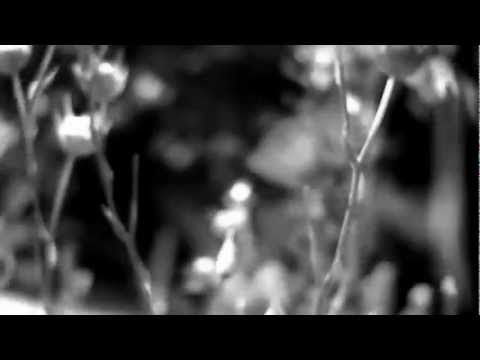 5 Little Elephants - Felt cabinet (HD) (2012 Twin Daisies Records)