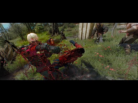 Melee adrenalin bleeding build vs Bandit Hanse  | Witcher 3 (Highest difficulty / upscaled level)