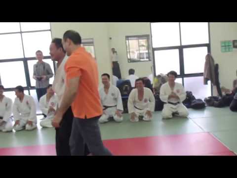 Aikido Borac Protiv Običnog Lika