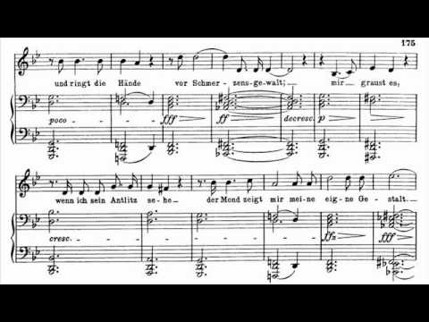 Dietrich Fischer-Dieskau sings Schubert 'Schwanengesang' - 13. Der Doppelgänger