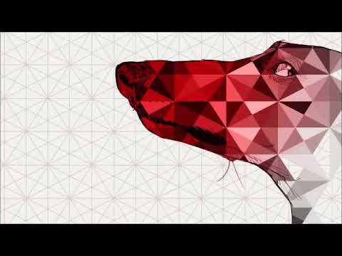 En Todas Las Lenguas (con Suite Soprano y Jor.G)