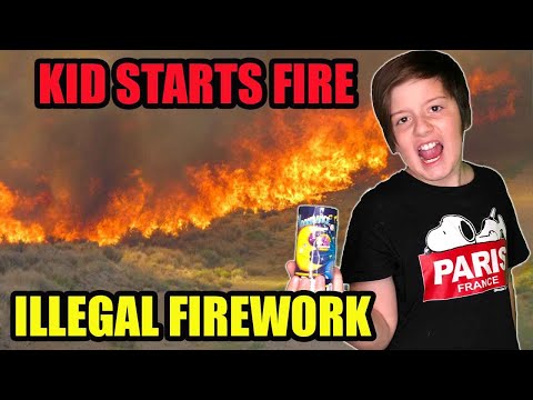 Kid Starts A Wildfire By Lighting Banned Fireworks - Neighborhood Evacuated! Oh Shiitake Mushrooms