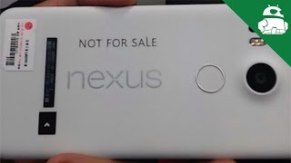 Nexus: Can the Nexus Brand Be Reborn?