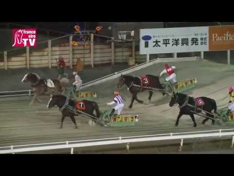 , title : 'Des courses de chevaux de trait au Japon, un sport unique au monde !'