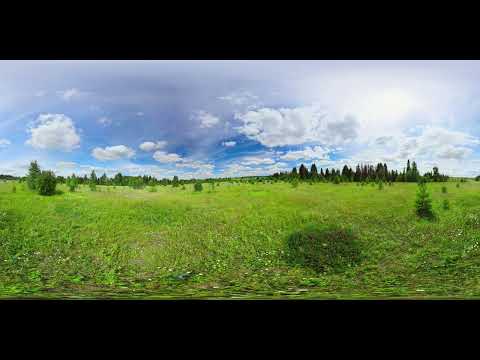 Dáng mẹ, hương quê - Trung Dũng