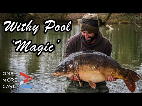 𝗪𝗜𝗧𝗛𝗬 𝗣𝗢𝗢𝗟 𝗠𝗔𝗚𝗜𝗖 - Carp Fishing with Ali Hamidi