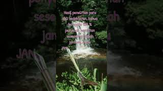 Download lagu kata-kata gokil buat status wa #short #gokil #koplak #humor #lucu mp3