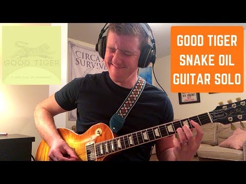 Snake Oil Guitar Solo Cover - Good Tiger - A Head Full Of Moonlight - Raleigh Heckel