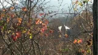 La terre est si belle.wmv