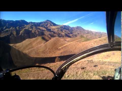 Goat culling New Zealand 2014