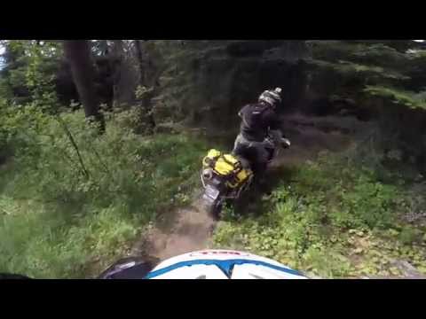 Single Track Fun On Adventure Bikes - MotoUSA