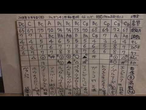 アルゼンチン共和国杯2018 競馬マニア向けの分析。一頭ずつ特徴を