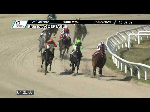 210806 c02 - MANGARRUCHO -  HIPODROMO LAS PIEDRAS