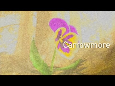 Carrowmore - John McSherry