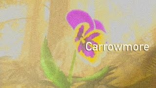 Carrowmore - John McSherry