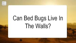 Can Bed Bugs Live In The Walls