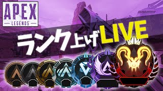 チーターに出会ったら即寝るランク - Apex【むめい:コラボ】gold2～ #配信アーカイブ