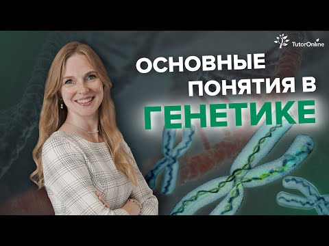 Основы генетики. Что такое ген, аллельные гены, генотип, фенотип, кариотип? | Биология | TutorOnline