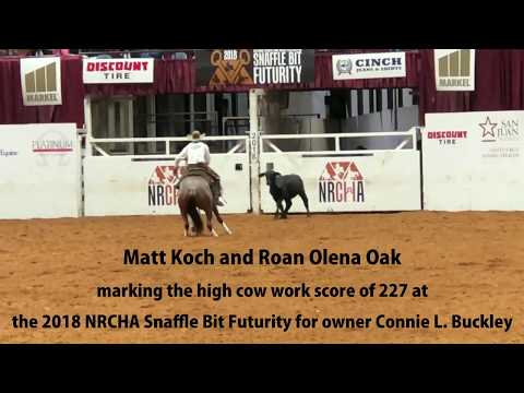 Matt Koch and Roan Olena Oak-2018 NRCHA SBF Futurity Cow Work High Score Run-227