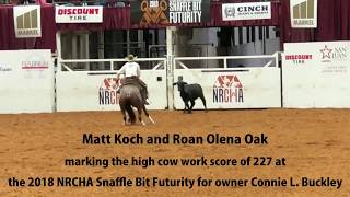 Matt Koch and Roan Olena Oak-2018 NRCHA SBF Futurity Cow Work High Score Run-227