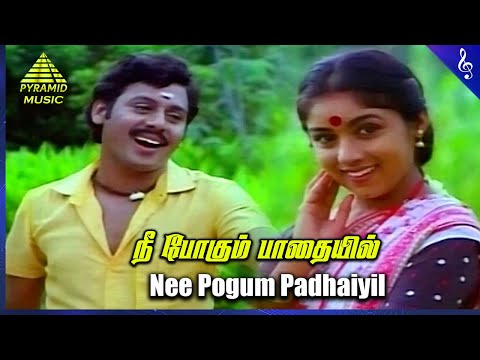 Nee Pogum Padhaiyil Video Song | Gramatthu Minnal Movie Songs | Ramarajan | Revathi | Ilaiyaraaja